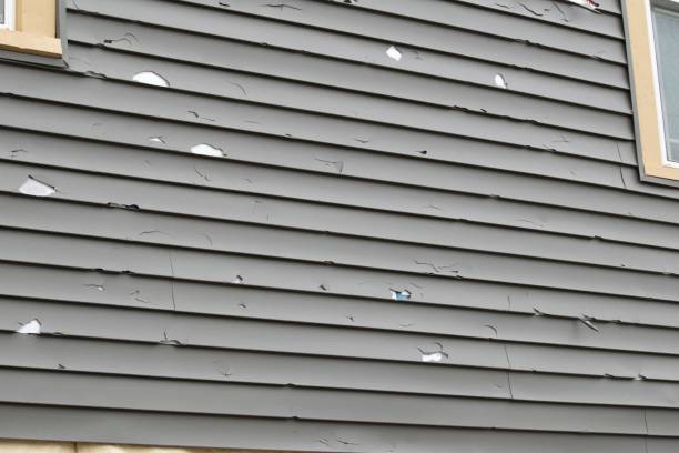 Best Fascia and Soffit Installation  in Methuen Town, MA